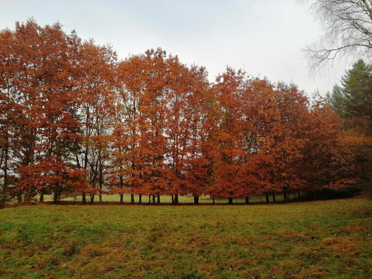 Beatamente B&B Olistico Torrazzo Exteriör bild